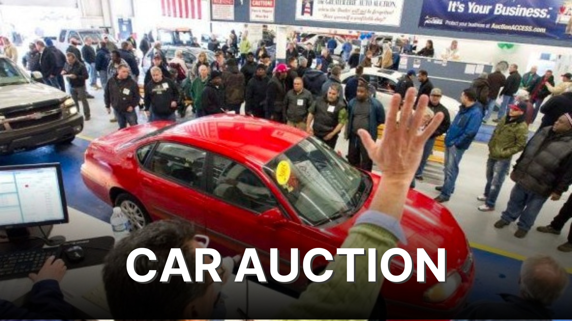 Car auction scene